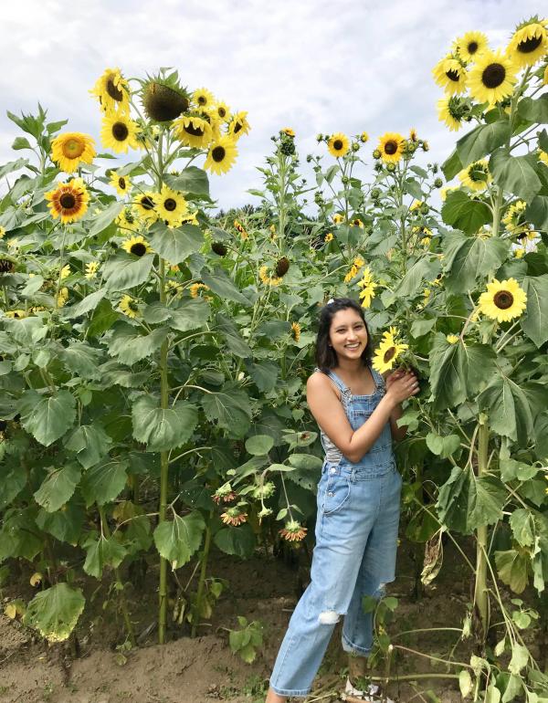 Rohini in a field of sunflowers