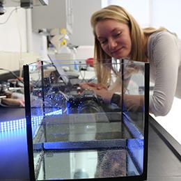 A student observes a water tank in the Ried Lab illuminated by blue light
