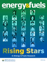energy and fuels cover with photos of awardees