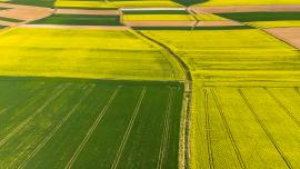 Colorful agricultural fields at spring, aerial drone view