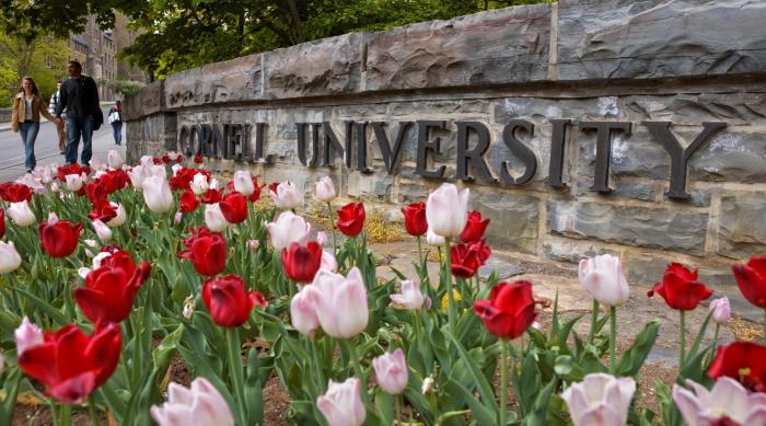 Cornell University sign with tulips